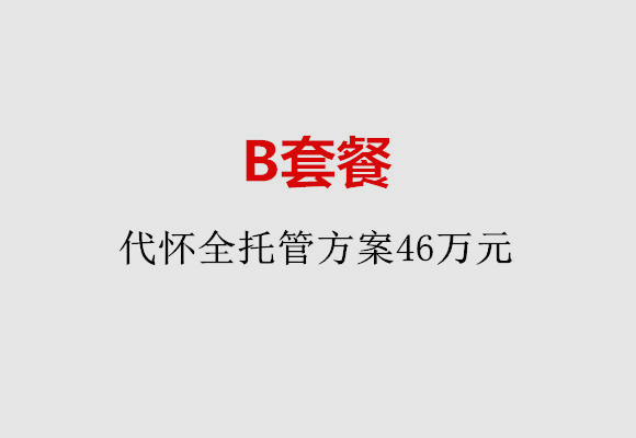 佛山B套餐：代怀全托管方案46万元